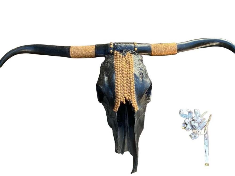 Handmade Black Longhorn Steer Skull with Gold Glitter Details